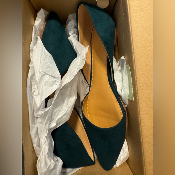 COPY - J Crew flats - Picture 2 of 4